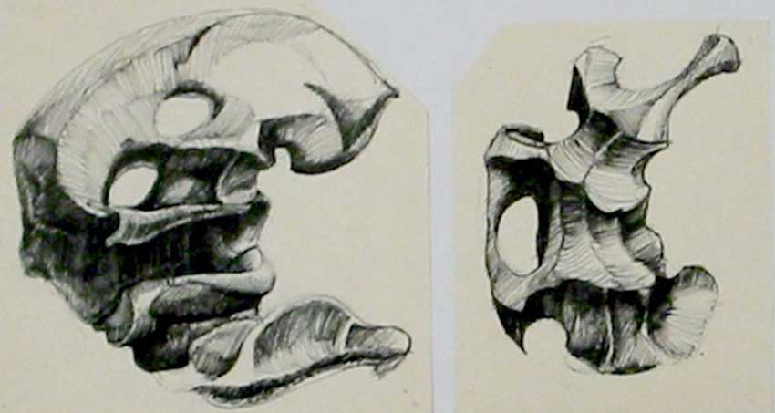 Inventaire1.Miroir aux alouettes. Dessin, aquarelle et crayon à papier. Esprit  surréaliste, forme de chapeau de gendarme, dans laquelle on aperçoit une faucille; le corps de la sculpture est recouvert d'un tissus décor végétal, comme un camouflage. 